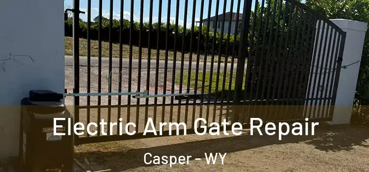 Electric Arm Gate Repair Casper - WY