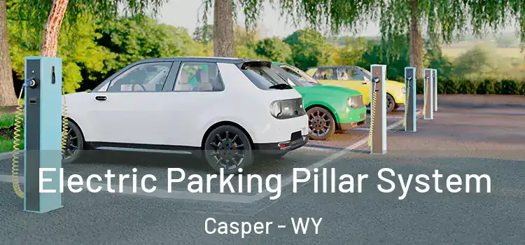 Electric Parking Pillar System Casper - WY