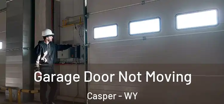  Garage Door Not Moving Casper - WY
