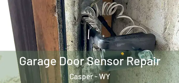 Garage Door Sensor Repair Casper - WY