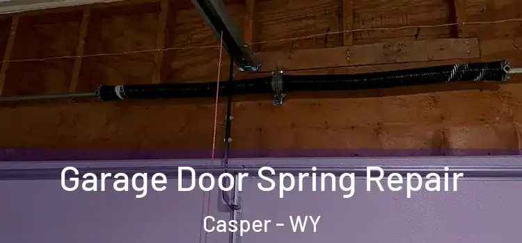  Garage Door Spring Repair Casper - WY