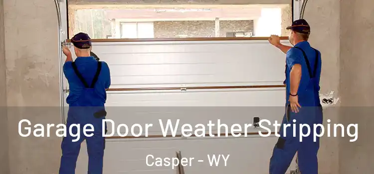  Garage Door Weather Stripping Casper - WY