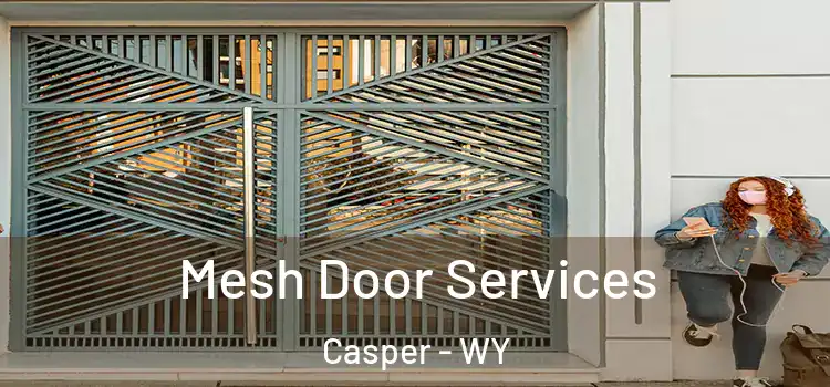 Mesh Door Services Casper - WY