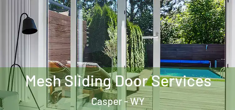 Mesh Sliding Door Services Casper - WY